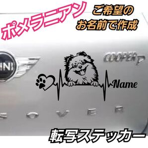 【Sサイズ黒】ご希望のお名前で作成 心電図 ポメラニアン転写ステッカー