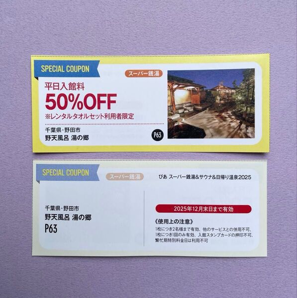 野田市 野天風呂 湯の郷 平日入館料 50%OFFクーポン 20枚