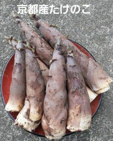 京都産 無農薬 朝掘り採れたてたけのこ約2キロ