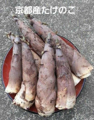 京都産 無農薬朝掘り採れたてたけのこ約2キロ