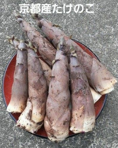 京都産 無農薬朝掘り採れたてたけのこ約4キロ