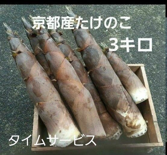 (タイムサービス)京都産 無農薬朝掘り採れたてたけのこ約3キロ