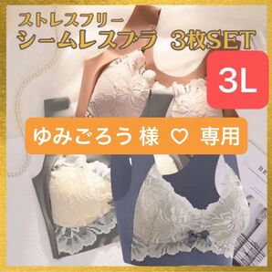 【3L】シームレスブラ 3色セット ノンワイヤー ナイトブラ 新品 大きめ