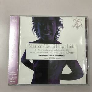 CD 中古☆【邦楽】林田健司 Marron