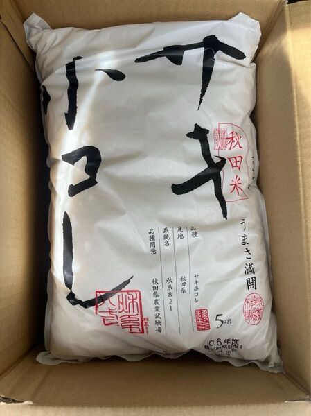秋田県産サキホコレ10kg 令和6年産
