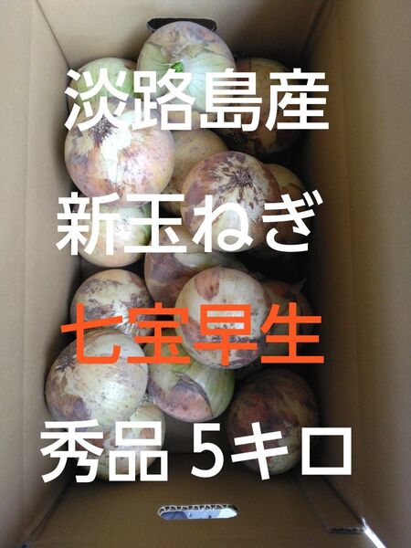 淡路島産 新玉ねぎ 産地直送 秀品 5キロ Lサイズ