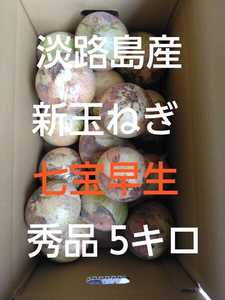 淡路島産 新玉ねぎ 産地直送 秀品 5キロ Lサイズ