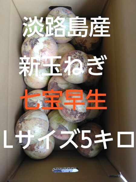 淡路島産 新玉ねぎ 産地直送 秀品 5キロ Lサイズ