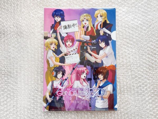 SEED FESTIVAL フェス クリアファイルセット 2枚組1セット FREEDOM〜新たな未来へ〜 パシフィコ横浜