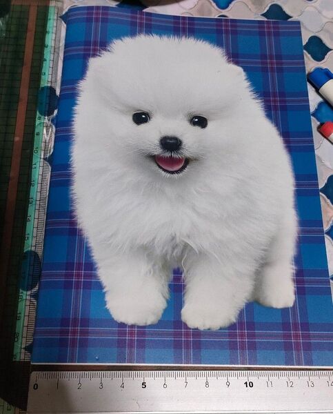 非売品 ノート ノベルティ