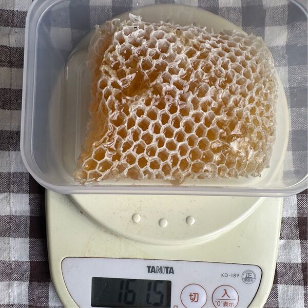 春百花巣蜜 春先に咲く花の巣蜜161.5g 巣みつ ハチミツ 西洋ミツバチ コムハニー