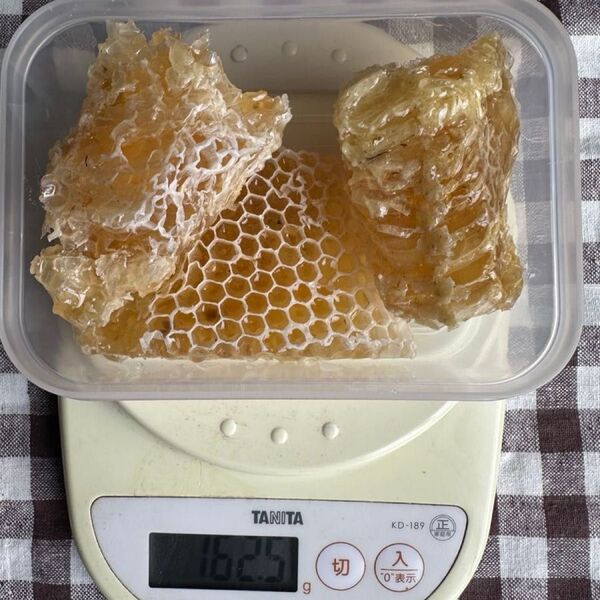 春百花巣蜜 春先に咲く花の巣蜜163g 巣みつ ハチミツ 西洋ミツバチ コムハニー