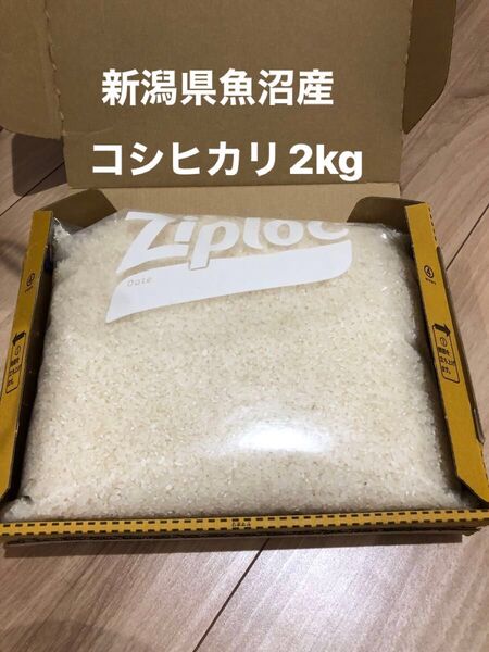 新潟県魚沼こしひかり 2kg