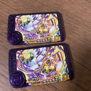 ポケモン フレンダ 第5弾 タケルライコ スーパートレジャー ST