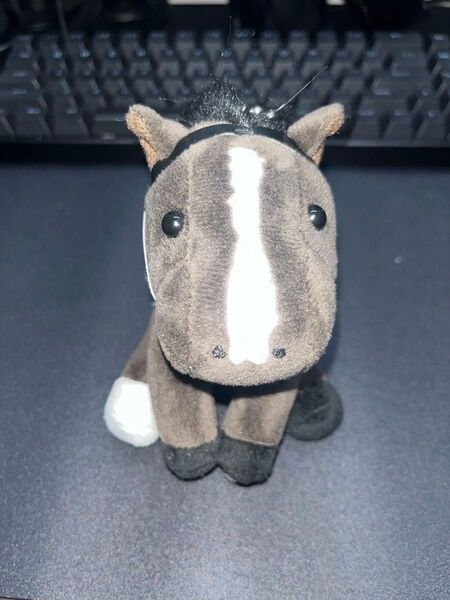 アイドルホース イクイノックス 有馬記念 Sサイズ