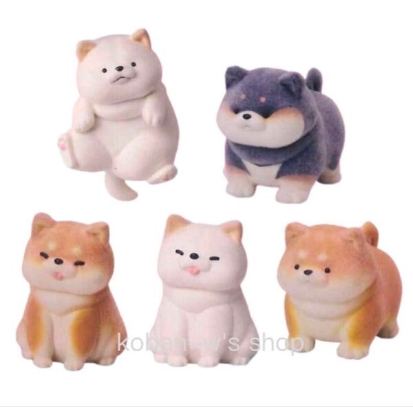 5種 むちむちわんこ ガチャ フィギュア 柴犬 牛人 白柴 黒柴 マスコット 犬 いぬ イヌ わんこ カプセルトイ