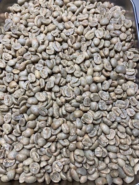 ニカラグア サンタアナ農園生豆 800g