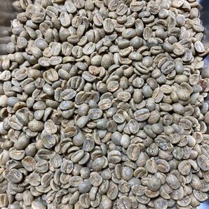 ブラジル さくらブルボン生豆 800g