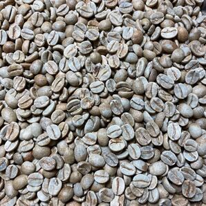 ブラジル サンコーヒー嫌気性発酵生豆 800g