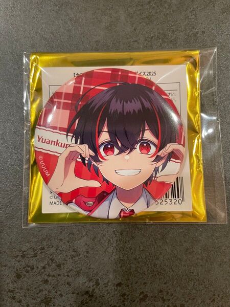 カラフルピーチ ゆあんくん パラぴち からぴちパラダイス 缶バッジ