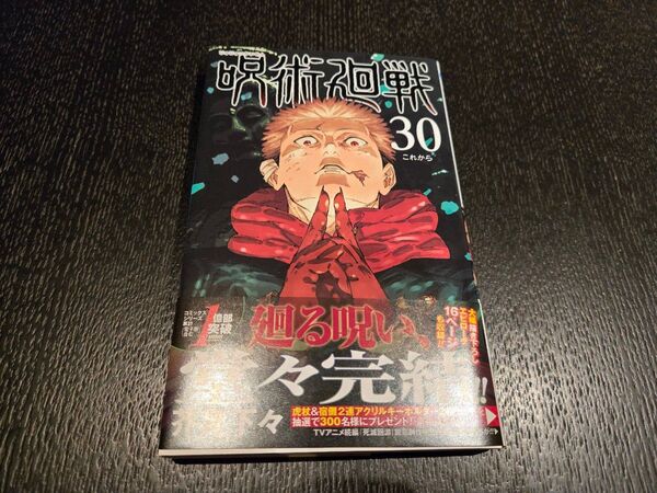 呪術廻戦 30 (ジャンプコミックス) 芥見下々/著