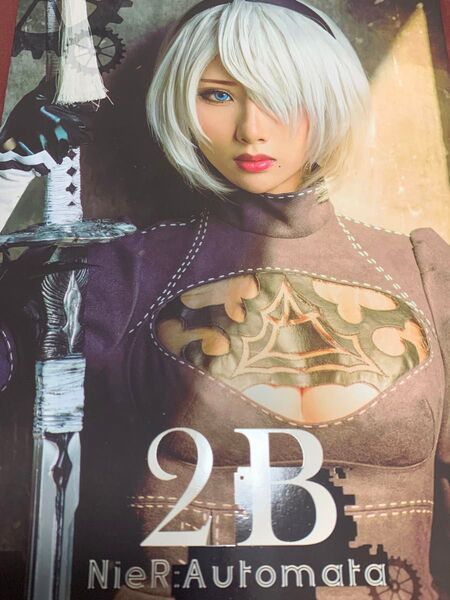 【絶版品】雨波 ニーアオートマタ 写真集