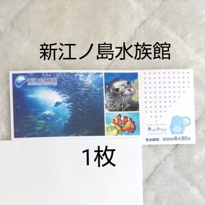 新江ノ島水族館 ご招待券 1枚