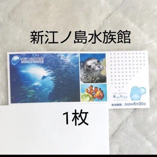 新江ノ島水族館 ご招待券 1枚