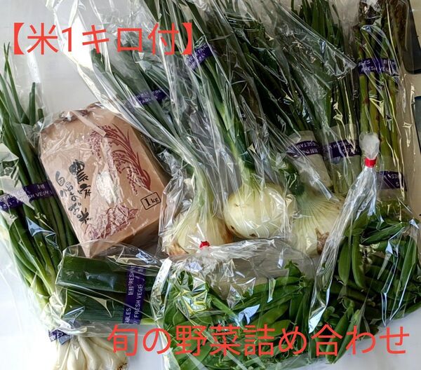 【米1キロ付】岡山県産 旬の野菜詰め合わせ 80サイズ