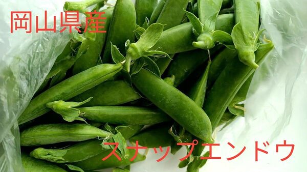 値下げしました!!岡山県産 スナップエンドウ 400グラム