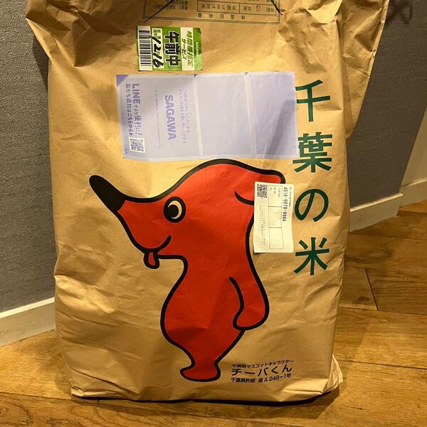 玄米 10kg ふさこがね