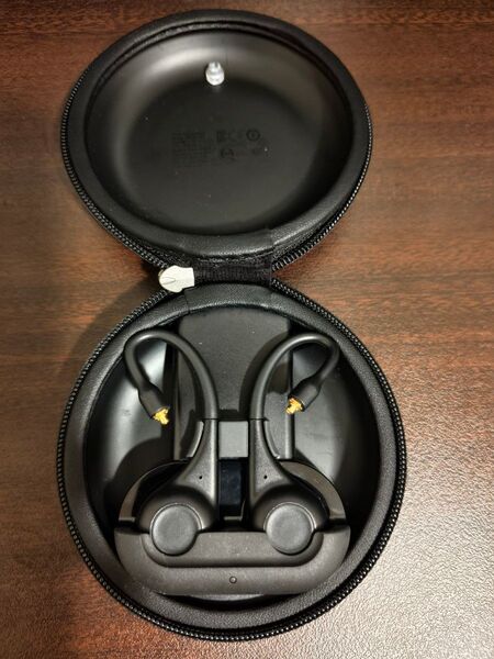 【値下げ可】SHURE RMCE-TW2