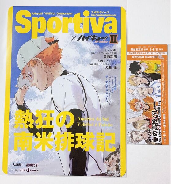 ハイキュー ショーセツバン アニメイト 特典 B5サイズ ビジュアルボード 日向翔陽 チケット風しおり