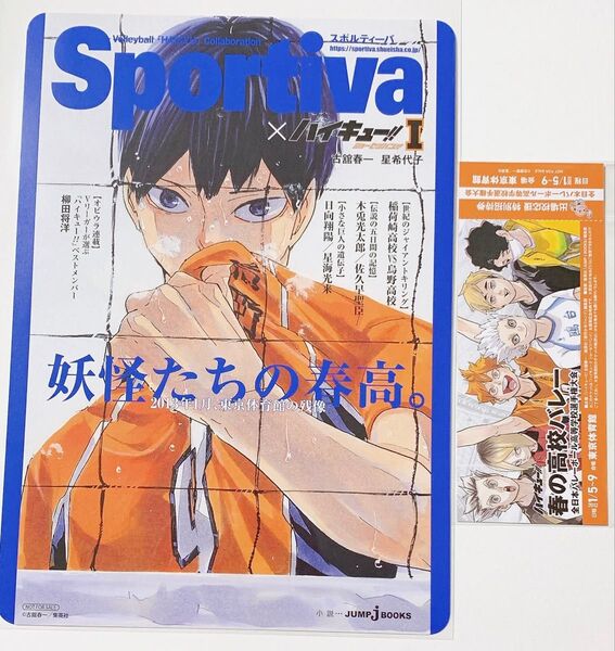 ハイキュー ショーセツバン アニメイト 特典 B5サイズ ビジュアルボード 影山飛雄 チケット風しおり