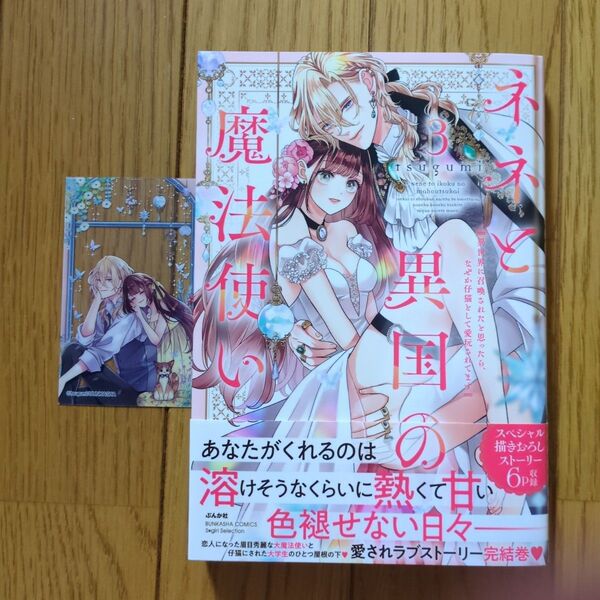 ネネと異国の魔法使い 異世界に召喚さ 3 (ぶんか社コミックス Sgirl Sele) tsugumi