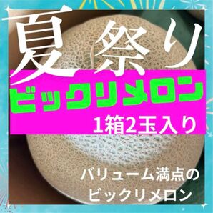 【激安】【ビックリメロン祭】アールスメロン 大玉2玉 《送料無料》