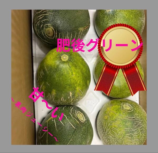 タイムセール!今季初の甘〜い! 肥後グリーン メロン ※4〜6玉入り 5キロ