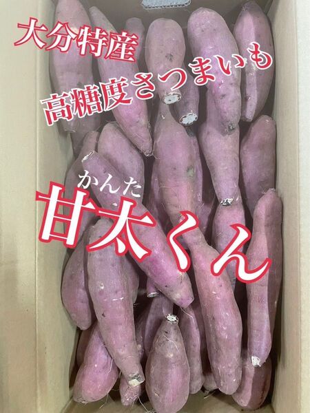【ビックセール】熟成紅はるか 濃厚で甘〜い! 10kg 紅はるか 今季終了間近