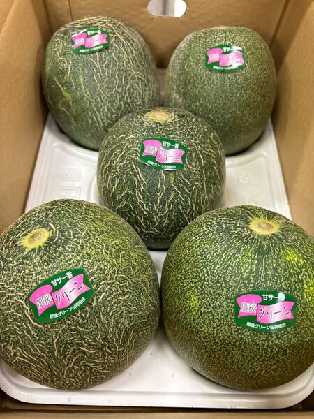 【今季初の肥後グリーン】九州産 肥後グリーン メロン ※4〜6玉入り 5キロ ※送料無料 大容量