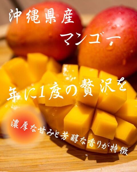 沖縄県産 完熟アップルマンゴー コメントOK