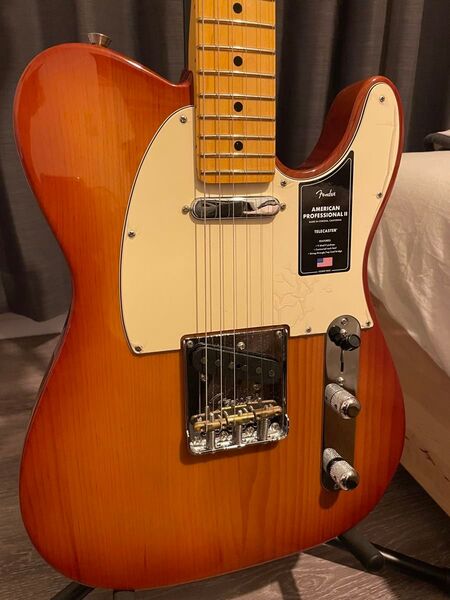 Fender American Professional Ⅱ telecaster sienasunburst