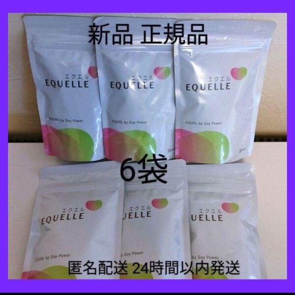 大塚製薬 エクエル パウチ 120粒30日分 ×6袋
