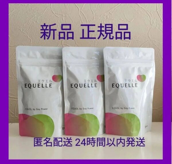 大塚製薬 エクエル パウチ 120粒30日分 ×3袋