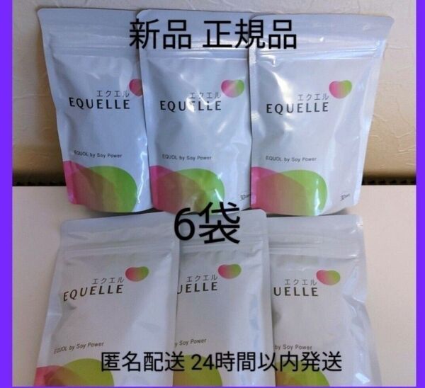 大塚製薬 エクエル パウチ 120粒30日分 ×6袋