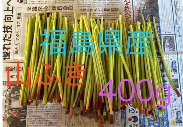 ふき 福島県産 数量限定 400g