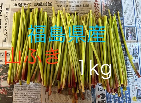 ふき 福島県産 1kg