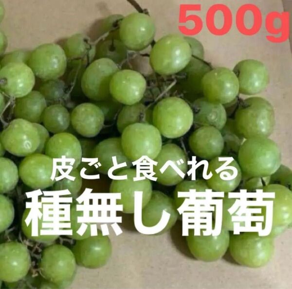 ぶどう 500g 種無し 皮ごと食べれる 美味しい 葡萄 人気 果物 デザート くだもの 青果