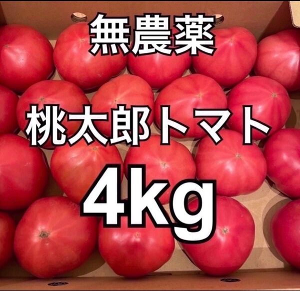 無農薬 桃太郎トマト B品 4kg