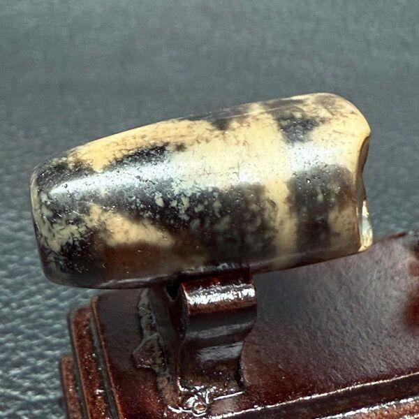 チベット 四線虎牙天珠 欠片 ancient dgi 老礦 マニア向き 研究者向き