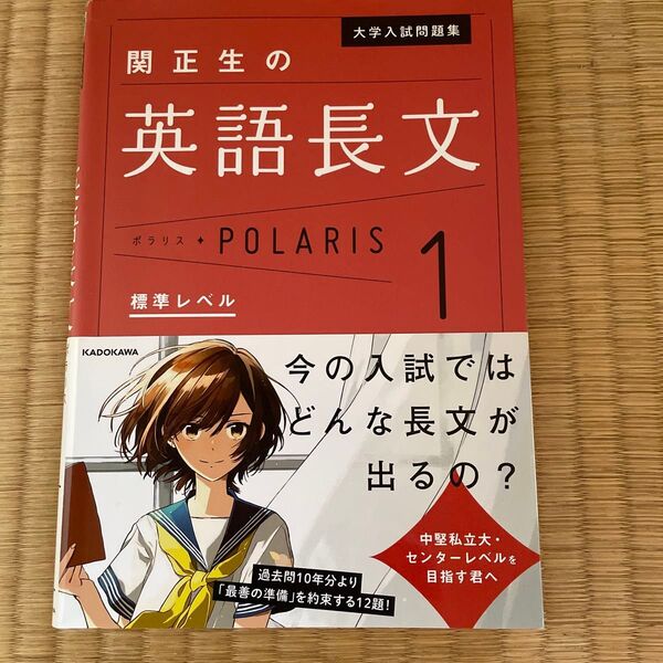 大学入試問題集関正生の英語長文ポラリス 1 (大学入試問題集) 関正生/著